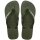 HAVAIANAS BRASIL LOGO GREEN/GREEN EU:37/38