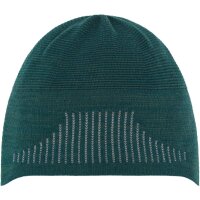 Eisbär Strive Beanie T 2 adv. green-astro grey-adv.gree