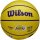 Wilson NBA PLAYER ICON MINI BSKT LEBRON NEW 3