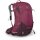 OSPREY Sirrus 34 Elderberry Purple/Chiru Tan O/S