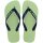 HAVAIANAS BRASIL LOGO CITRONELA 27/28