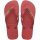 HAVAIANAS BRASIL LOGO PAU BRASIL 35/36